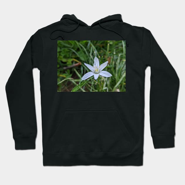 Star of Bethlehem 2 Hoodie by AustaArt